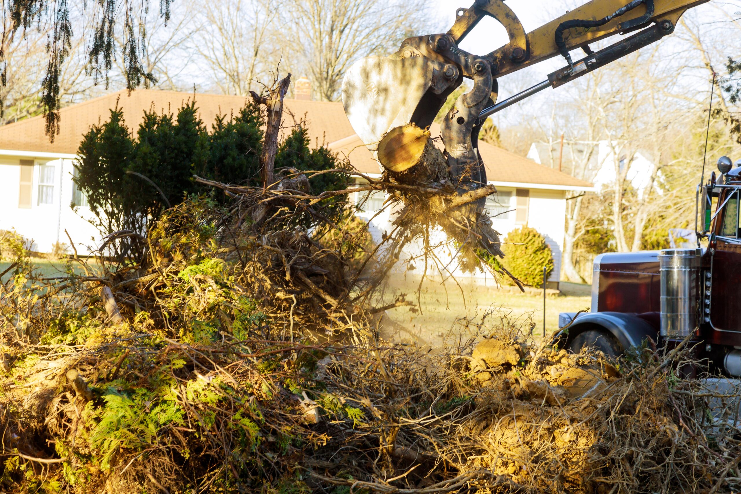 A-Better-Tree-LLC,Tree removal,Tree-trimming-and-pruning,Tree-stump-removal,Cabling-and-bracing,Tree-planting,Tree-stump-removal,Tree-stump-grinding,Tree-removal,Complete-tree-service,landscaping,Hobe-Sound-FL,Jupiter-FL,West-Palm-Beach-FL,Boynton-Beach-FL