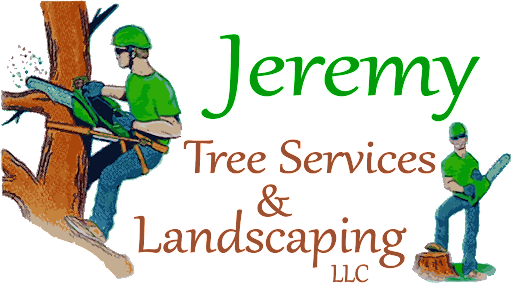 Jeremy-Tree-Services-and-Landscaping-LLC